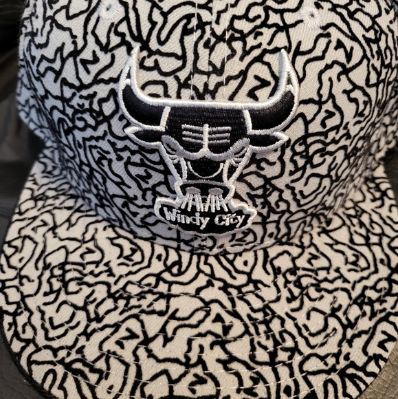 CHICAGO BULLS ERA 9FIFTY ELEPHANT LAB SNAPBACK HAT - Picture 2 of 6